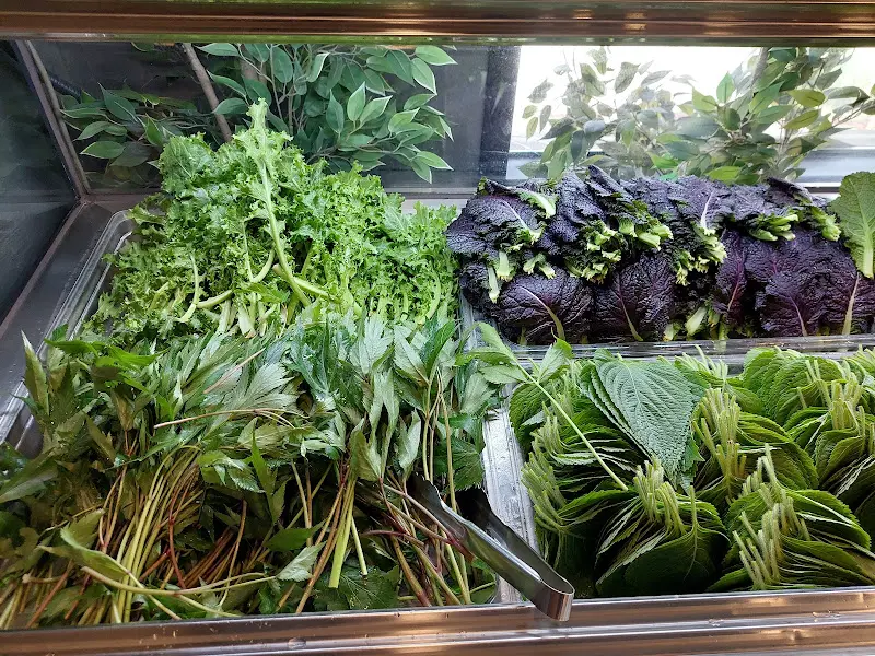 다양한 쌈 채소