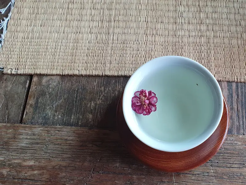 찻잔 속에 띄워진 꽃 한송이