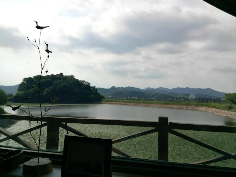 평화다원 창밖으로 보이는 저수지 풍경