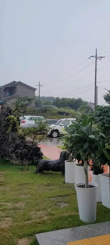 비 오는 날, 촉촉하게 젖은 정원의 모습
