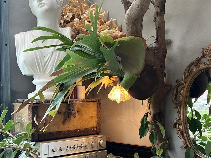 카페 내부 장식