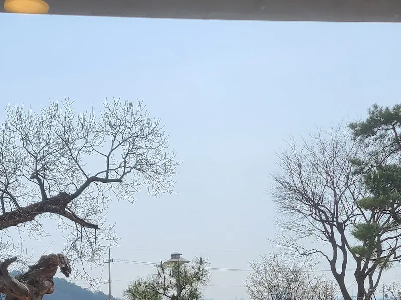 식당에서 보이는 풍경