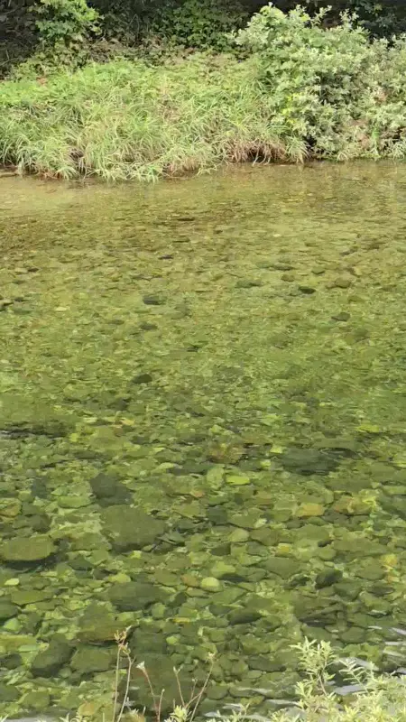 맑고 깨끗한 병지방계곡