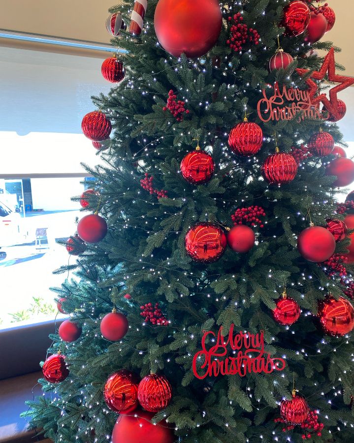 뮤즈베이커리 크리스마스 트리