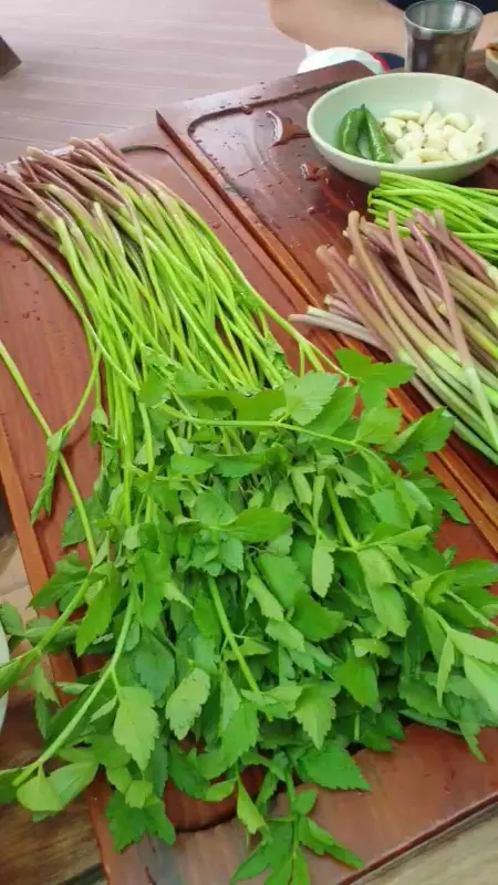 싱싱한 한재미나리