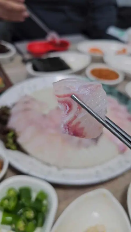 윤기가 흐르는 신선한 모듬회