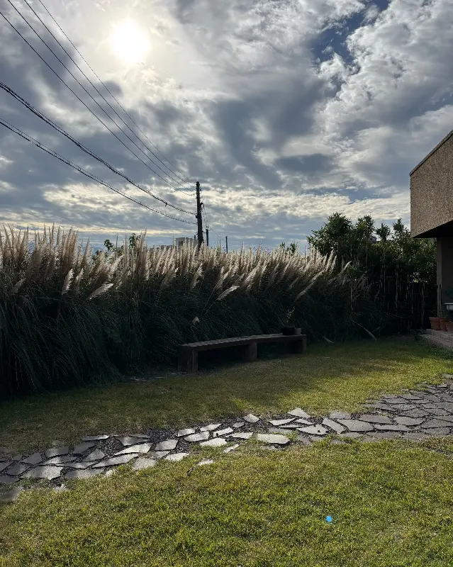 토마토 소다와 커피