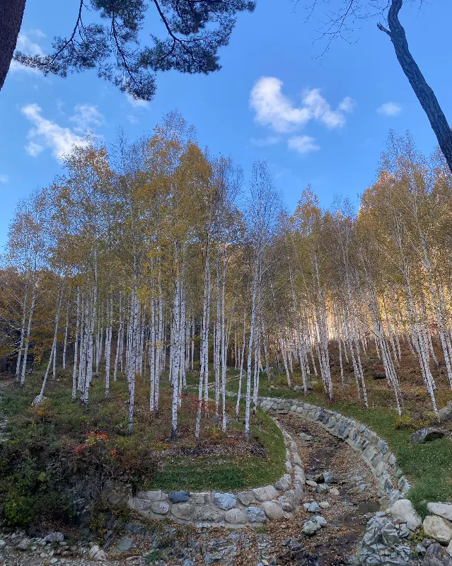 영양의 아름다운 자연