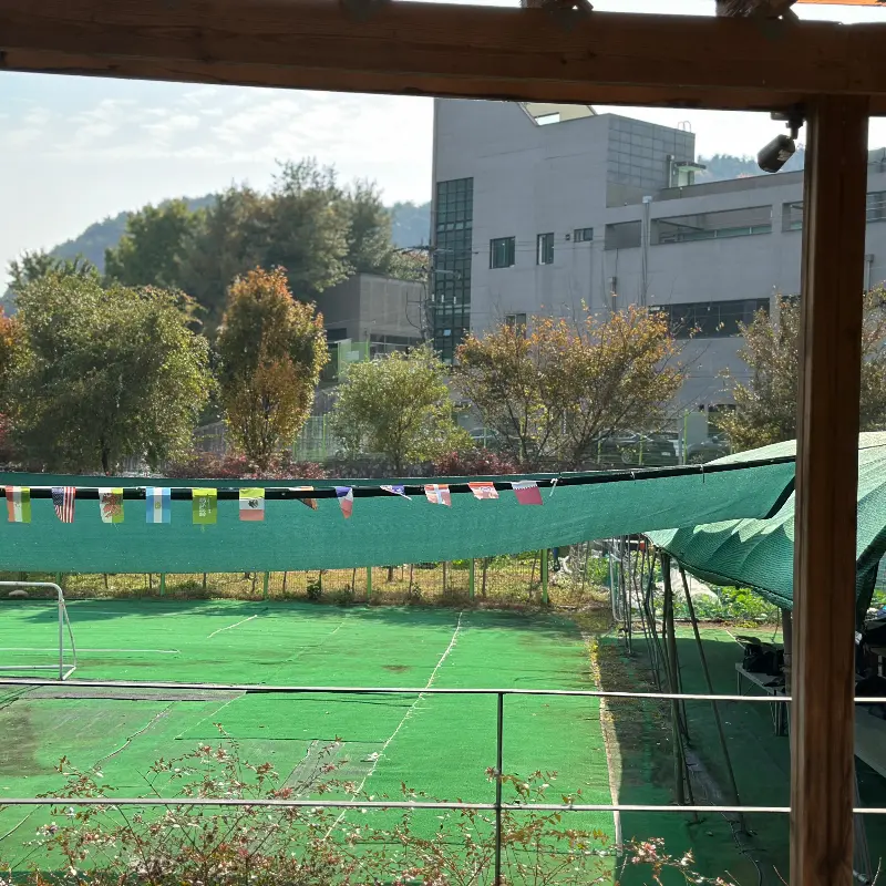 신선한 쌈 채소