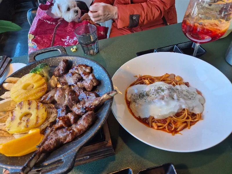 강아지와 함께 즐거운 시간을 보낼 수 있는 샤슬릭