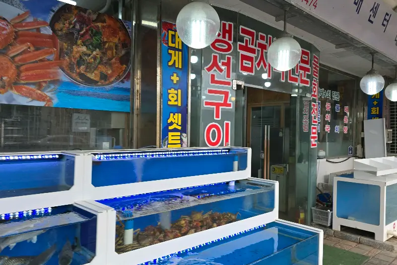 싱싱한 해산물이 가득한 수조