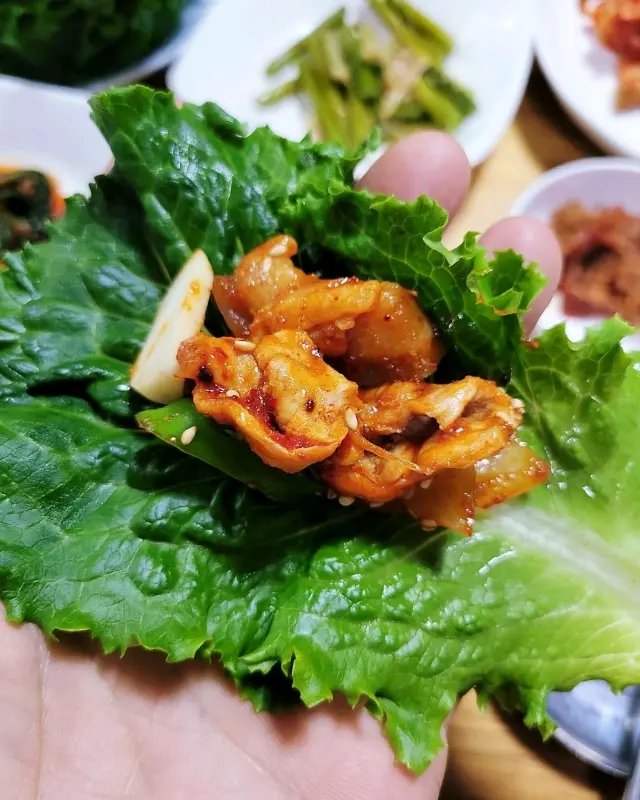 싱싱한 채소에 제육볶음을 싸서 먹는 모습