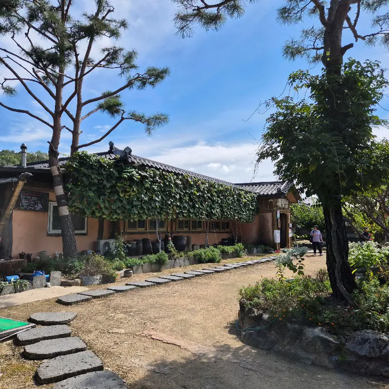 정갈하게 놓인 돌 징검다리