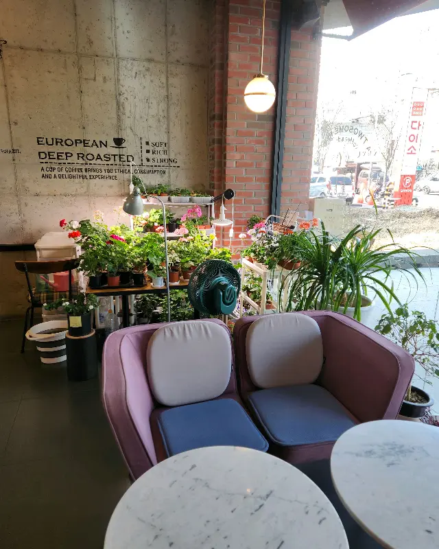 투썸플레이스 영천시청점 내부