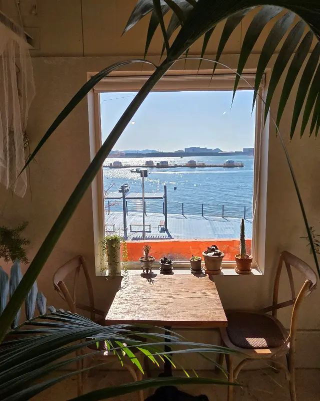 헬로정글의 창밖 풍경