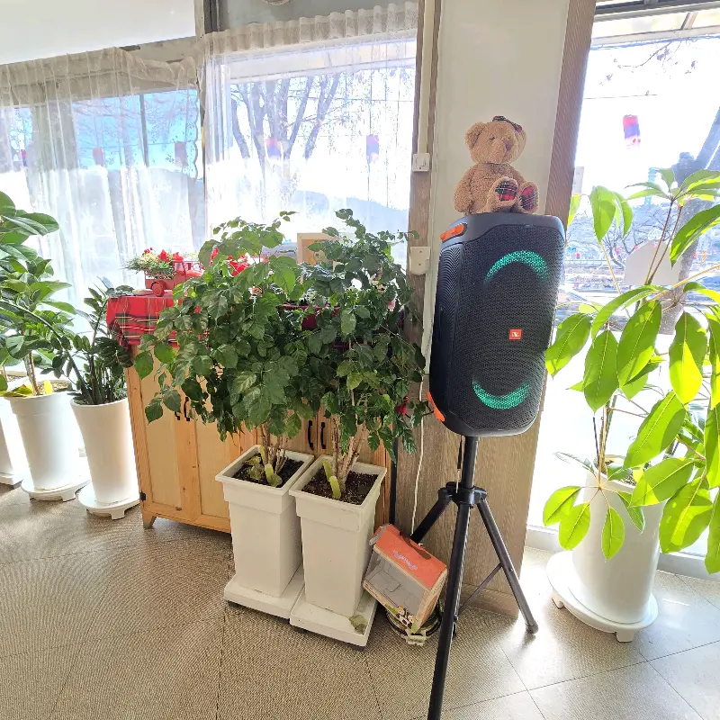 가게 한켠에 놓여진 스피커와 장식