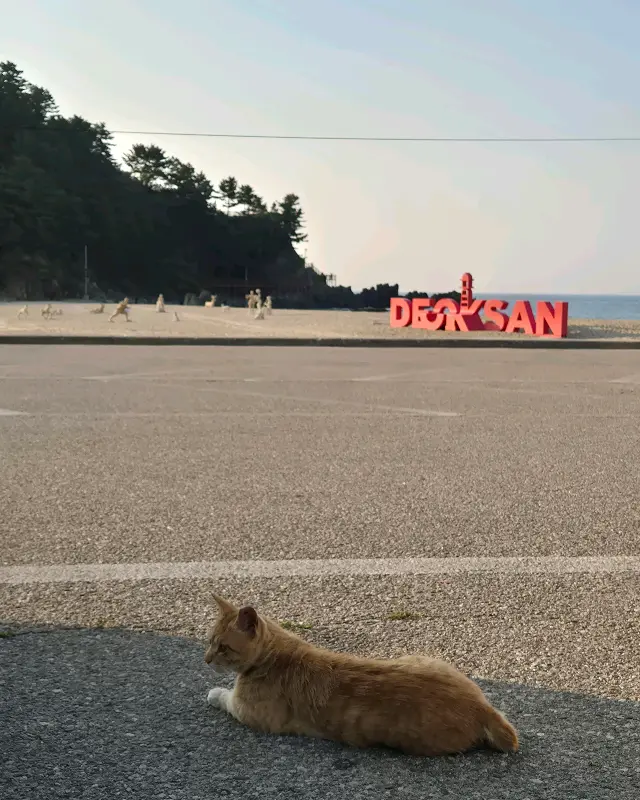 덕산해변 풍경