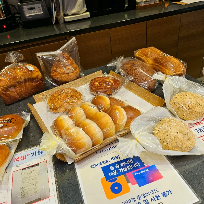 다양한 빵 종류