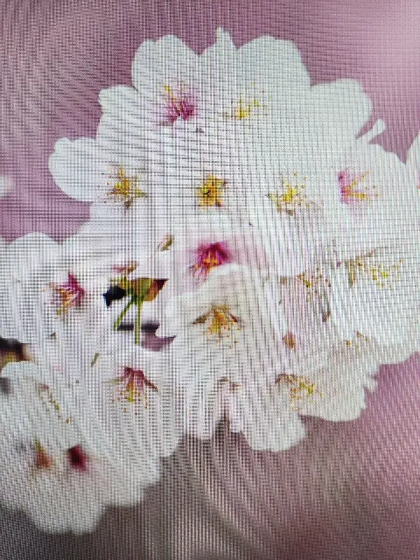 식당 내부 장식