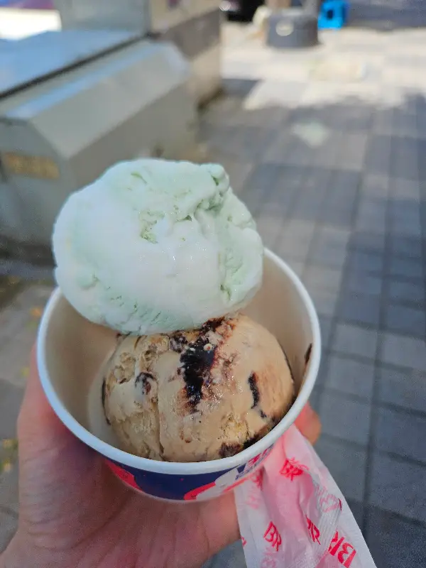 테이크 아웃 아이스크림