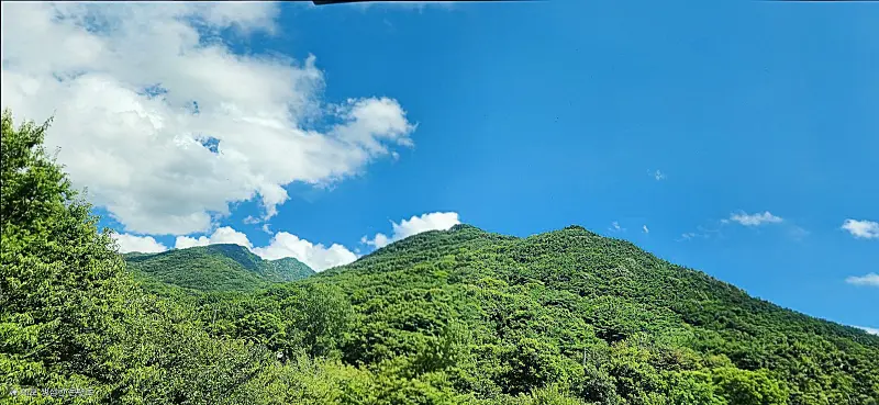 식당 주변 풍경