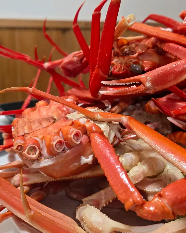 푸짐한 물회 한 상차림