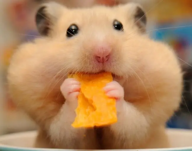 싱싱한 해산물이 가득한 샐러드바