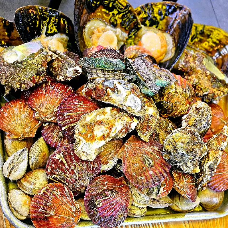 싱싱한 조개 한 상