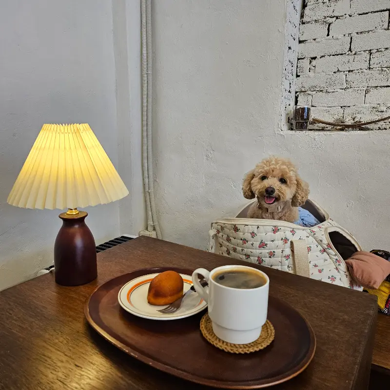 커피와 마들렌, 그리고 주니