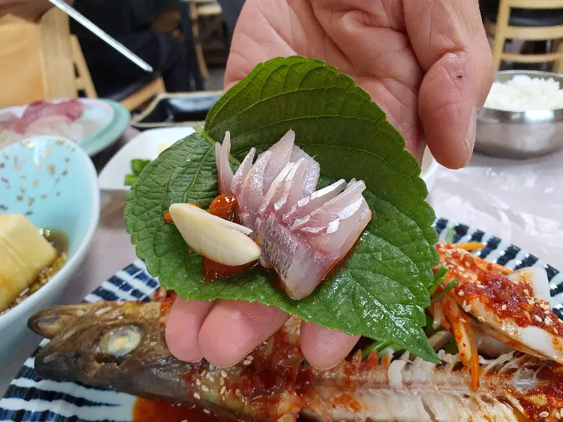 싱싱한 회를 깻잎에 싸 먹는 모습