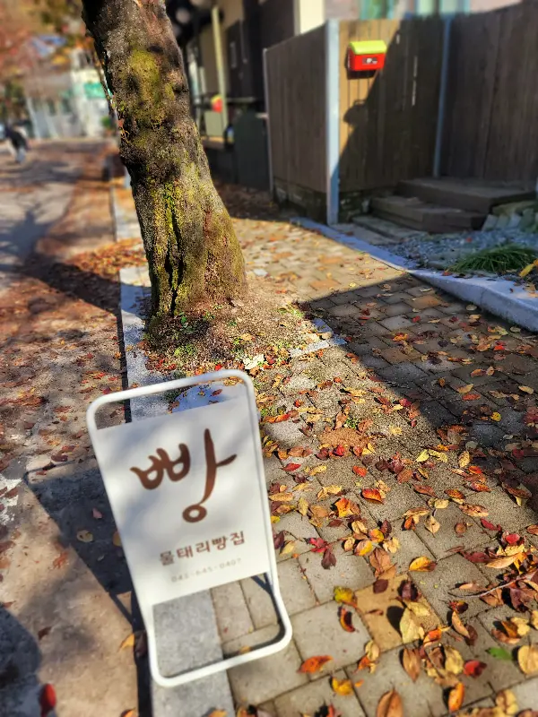 아늑한 카페 내부