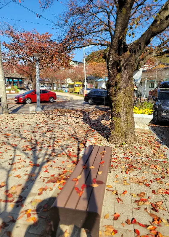 카페 주변 풍경