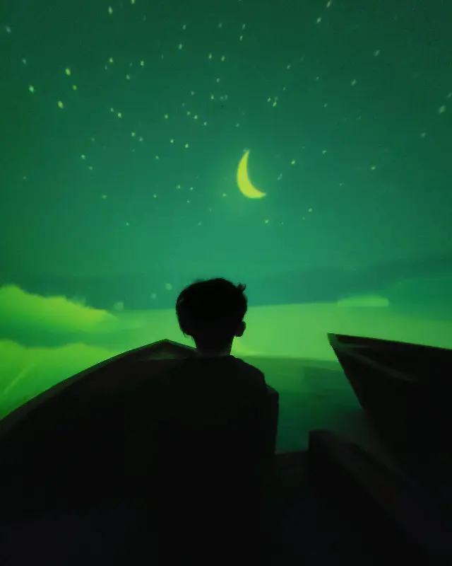 밤하늘 아래 치킨