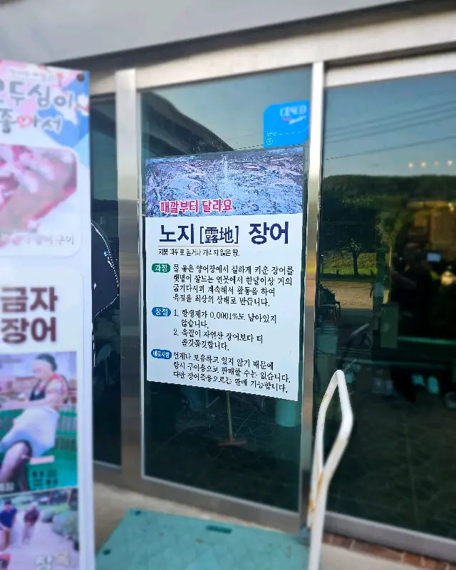 노지 장어 안내