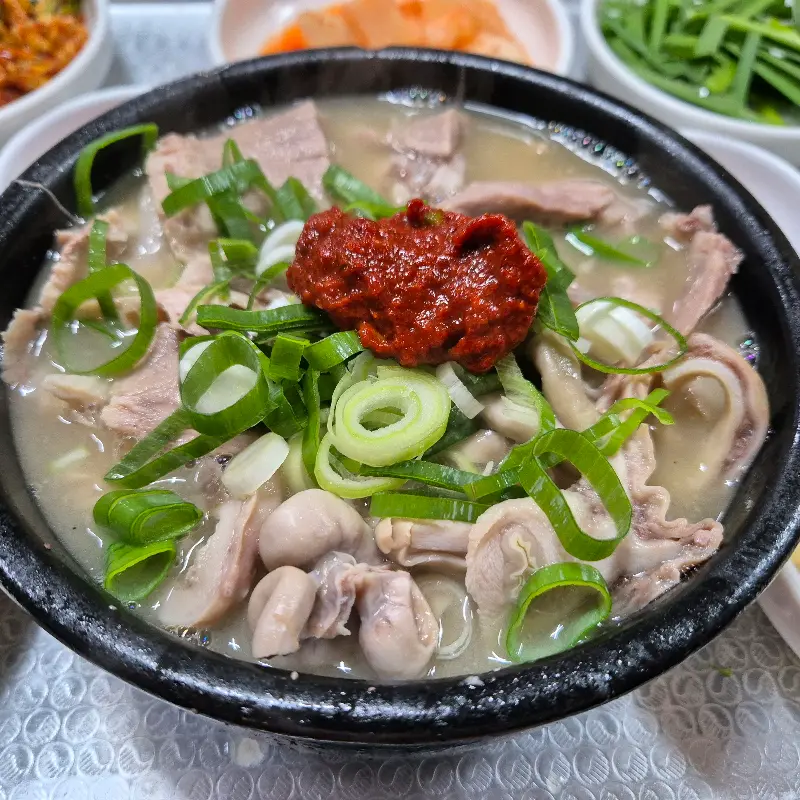 돼지국밥 근접샷
