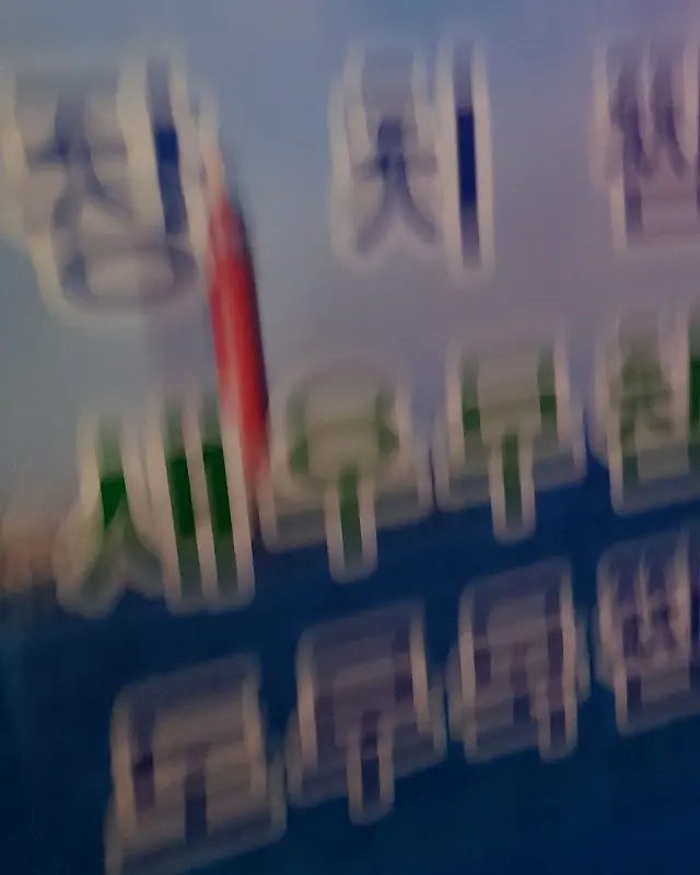 사장님이 직접 재배하신 듯한 신선한 채소