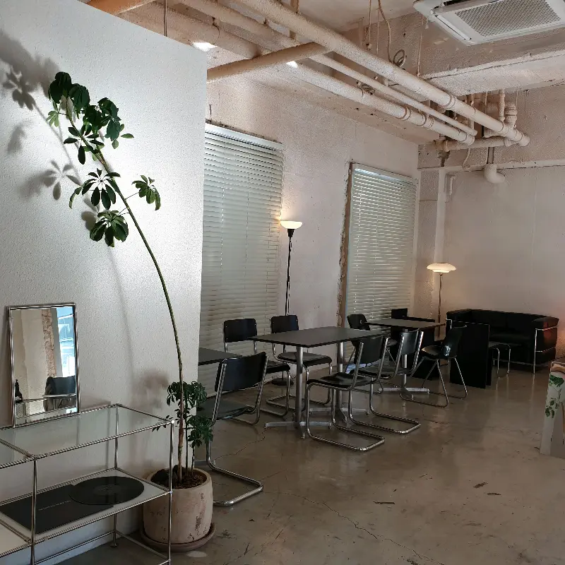 따뜻한 햇살이 들어오는 위알커피