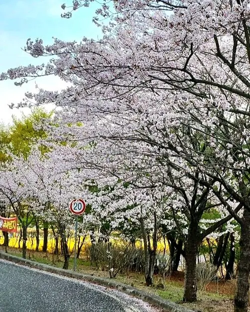 울산의 아름다운 자연경관