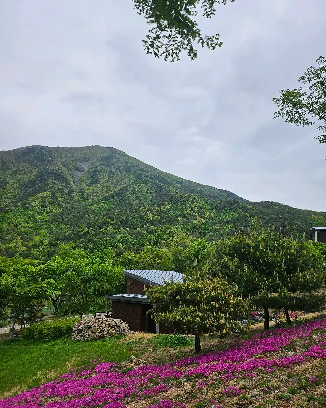 마실커피 주변 풍경