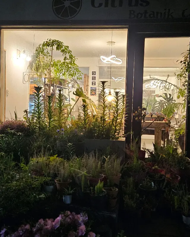 카페 외부 전경