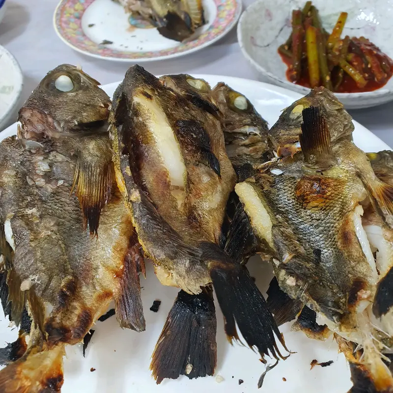 볼락구이