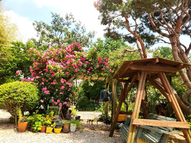 푸짐한 한 상 차림