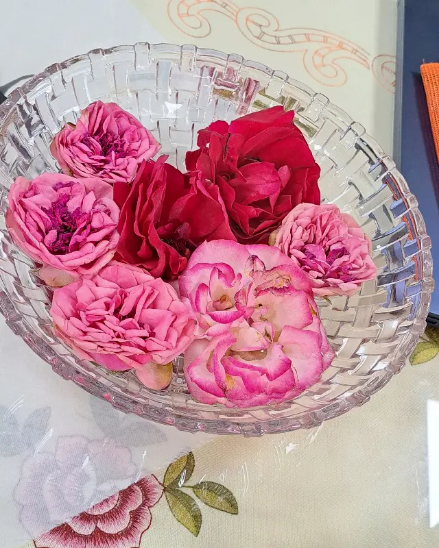 돈까스클럽 메뉴