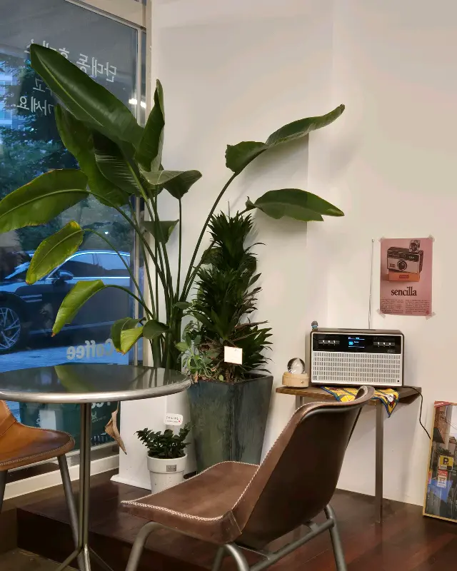 카페 내부 식물