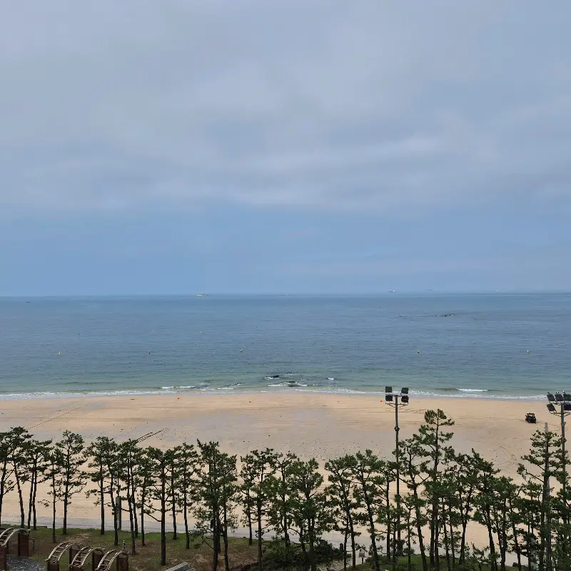 대천 해수욕장 전경