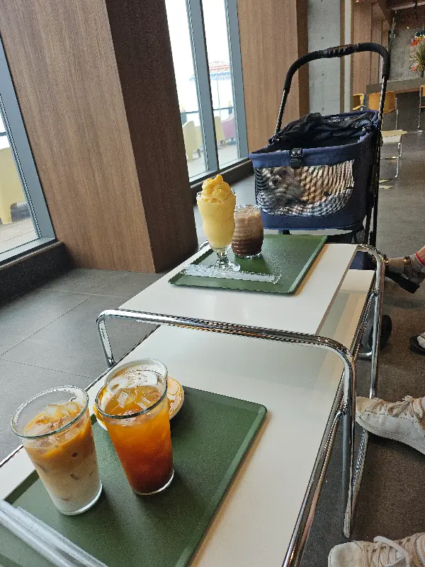 다양한 음료 메뉴