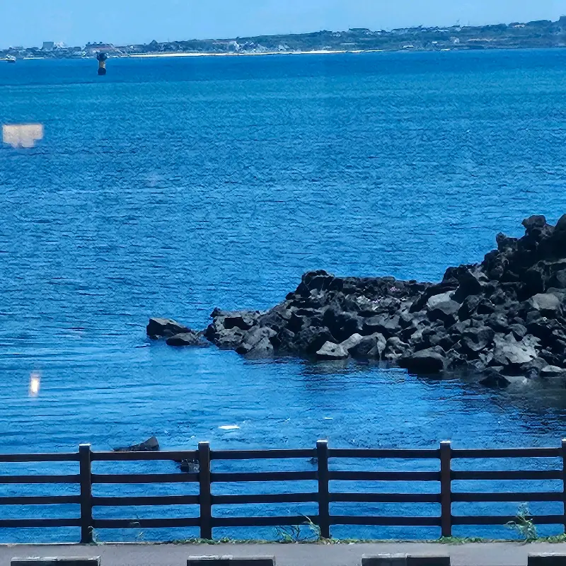 흑돼지 버거와 바다