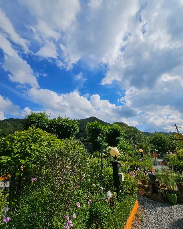 푸른 하늘과 초록빛 나무들이 어우러진 로즈카페 정원의 모습