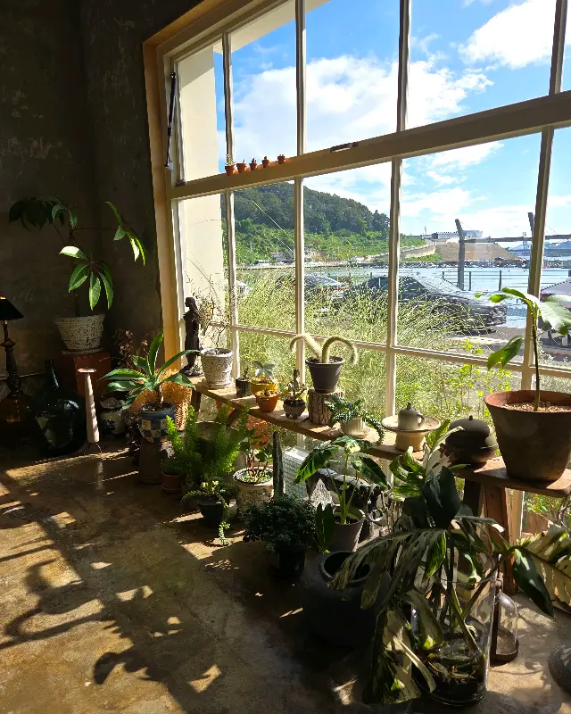 헬로정글 내부 인테리어