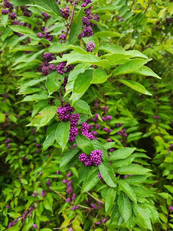 카페 주변의 풍경